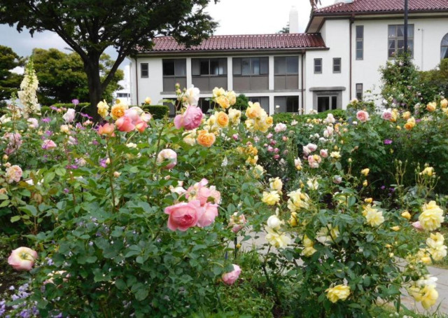 港の見える丘公園